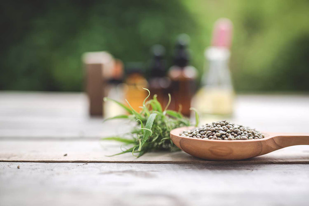 Spoon with cannabis seeds near the plant's leaves