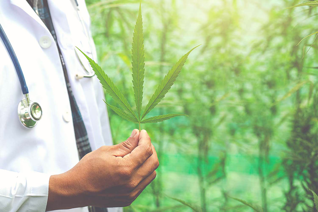 Doctor in white holding a cannabis leaf
